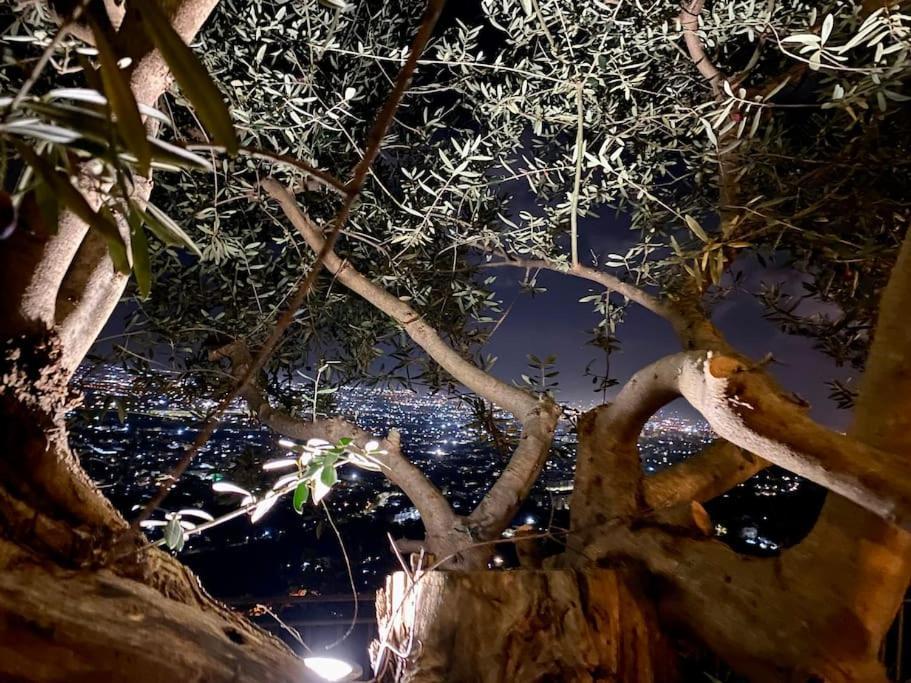 Casale Di Lusso Panoramico Villa Lettere Eksteriør billede